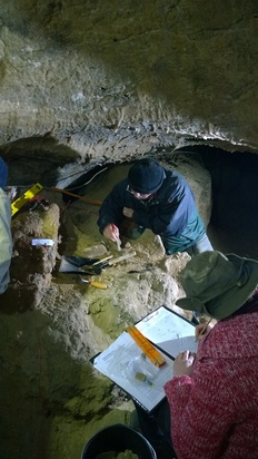 Neue Ausgrabungen an der Einhornhöhle
