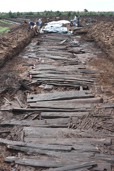 Der Bohlenweg Pr 6 im Aschener Moor