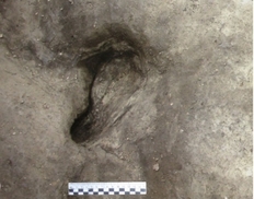 300.000 Jahre alte Momentaufnahme: Älteste menschliche Fußabdrücke aus Deutschland gefunden