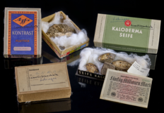 Jede Menge Elefantenfleisch