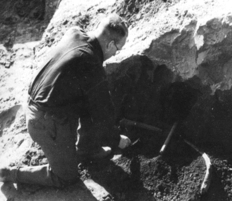 Als im März 1948 die Holzlanze zwischen den Elefantenknochen ans Tageslicht kam, stand kein Fotoapparat zur Verfügung. Die Situation wurde später nachgestellt. Ein Besenstiel illustrierte dabei die ursprüngliche Lage der Waffe (© NLD).