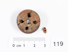 Detail Bernsteinperle mit vier Bohrungen (Foto: T. Schuck, NLD).