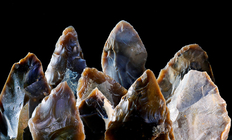 An der neandertalerzeitlichen Fundstelle Ochtmissen wurden vor ca. 70.000 Jahren besonders viele Faustkeile von hoher Qualität hergestellt (Foto: Volker Minkus, NLD).