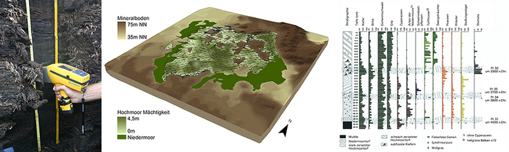 Moor, Pollendiagramm und Geländemodel.