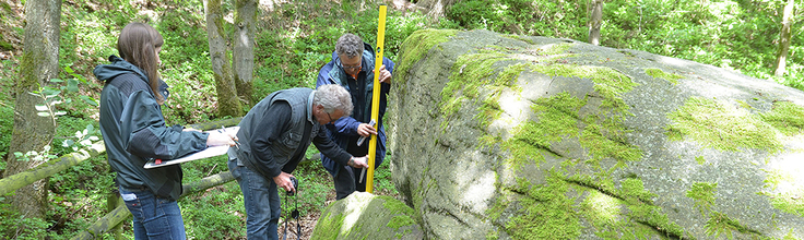 Großsteingräber Siebensteinhäuser.