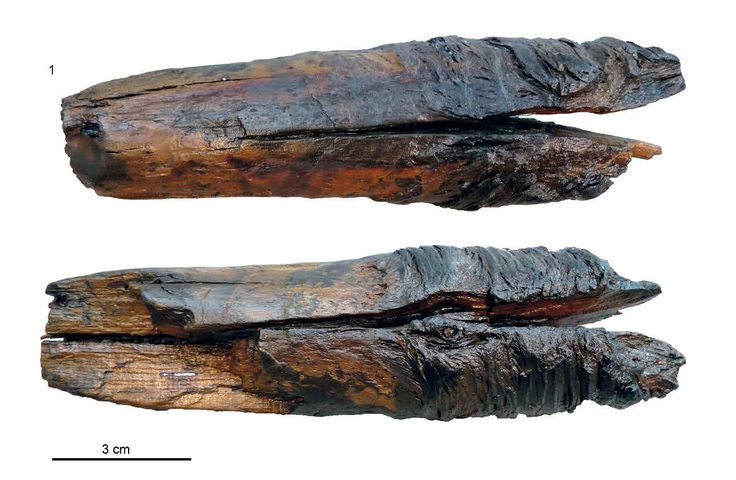 Astansätze Schöningen 12 II-1: 1 ID 16374, Abies alba, 11,4 × 3,1 × 3,1 cm.