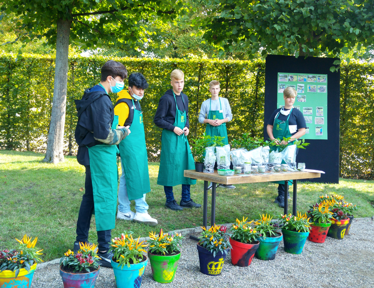 Chilis und Stecklinge – die Teilnehmer des Worshops „Zeige mir Deinen Garten und ich sage Dir, wie mächtig Du bist“ präsentieren ihre Ergebnisse.