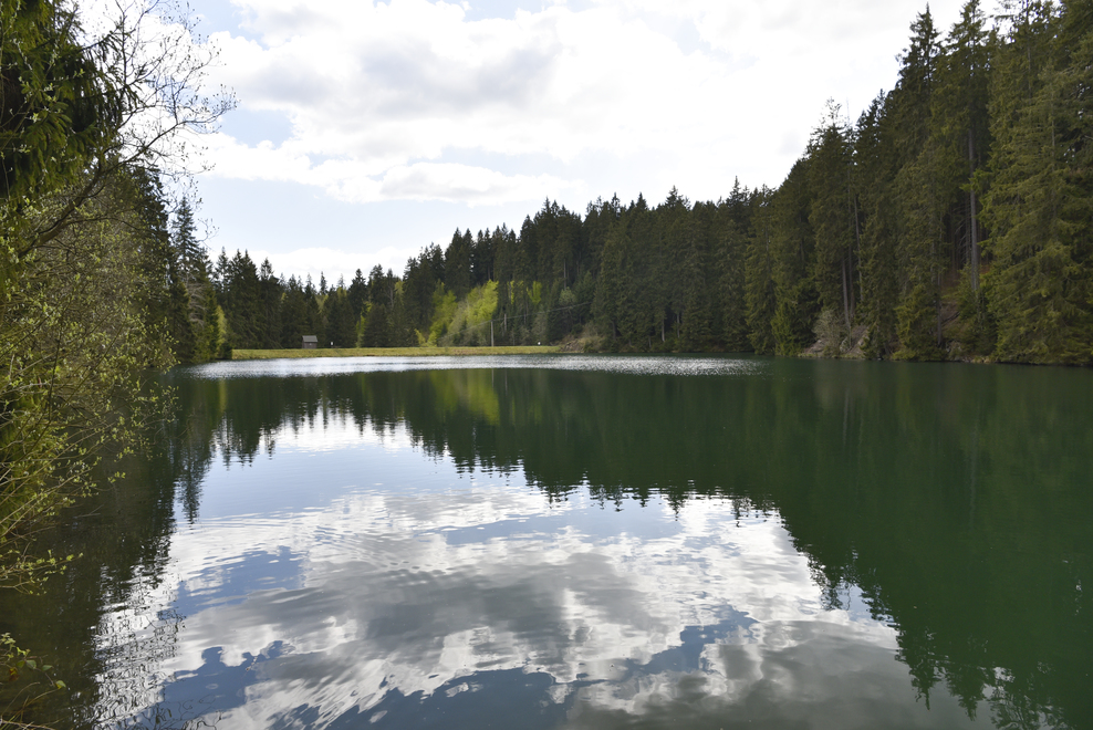 Der Untere Schalker Teich in der Nähe von Schulenberg im Oberharz