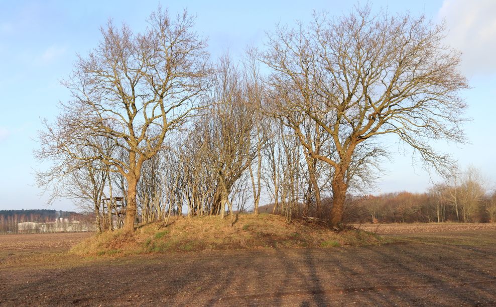 Verzeichnis der Archäologischen Denkmale für die Stadt Cuxhaven übergeben