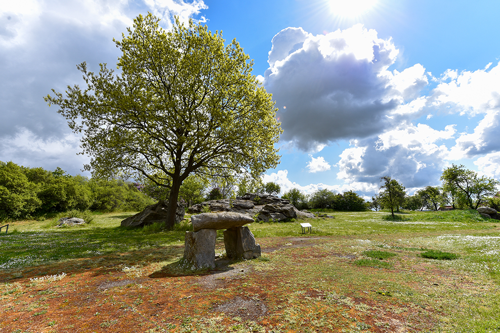 Landschaften, geologische Ressourcen und kulturelle Entwicklung. Der niedersächsische Teil des UNESCO-Global Geopark Harz