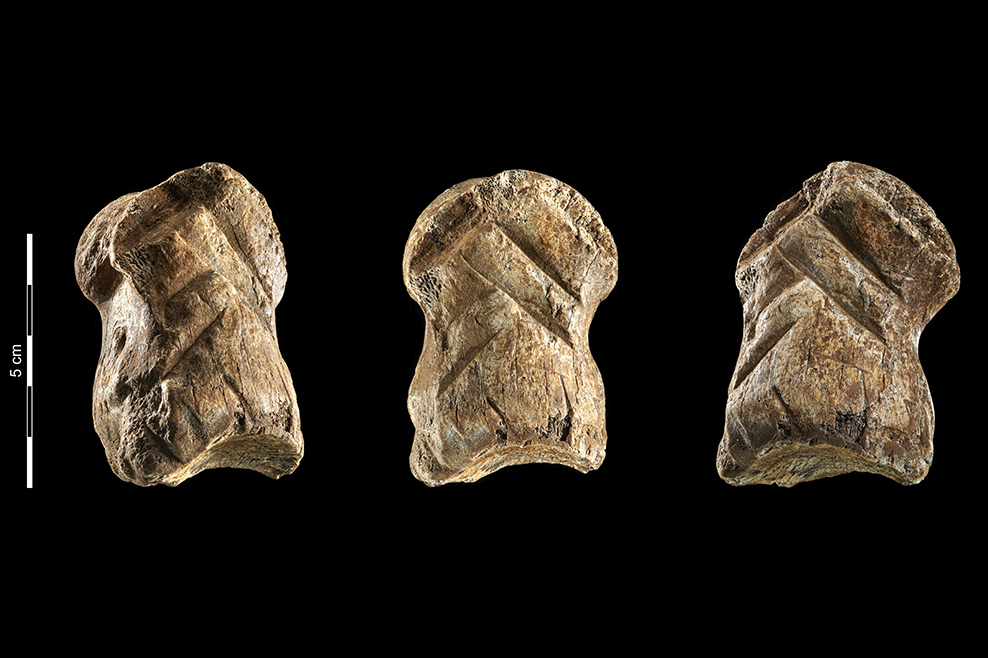Der Neandertaler als Künstler? Vorfahre verzierte Knochen vor über 50.000 Jahren