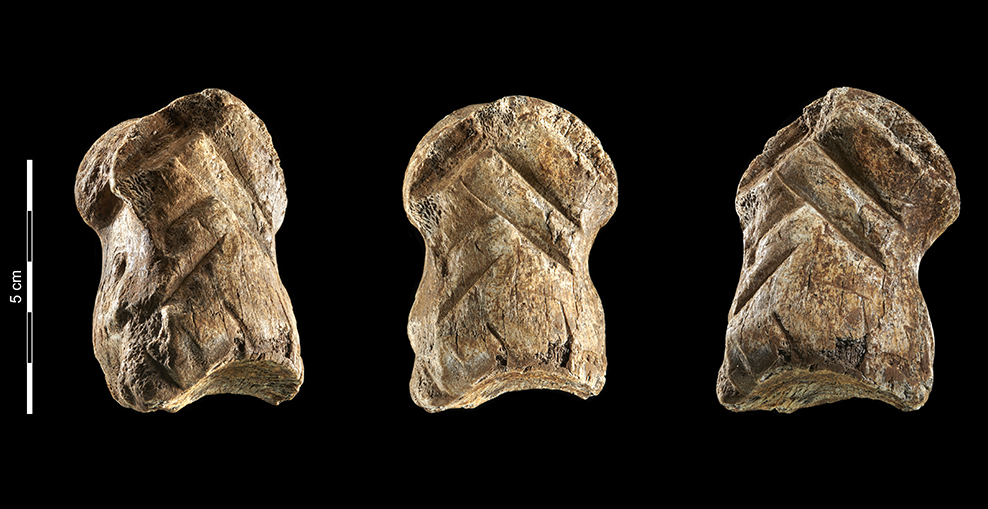 Der Neandertaler als Künstler? Vorfahre verzierte Knochen vor über 50.000 Jahren