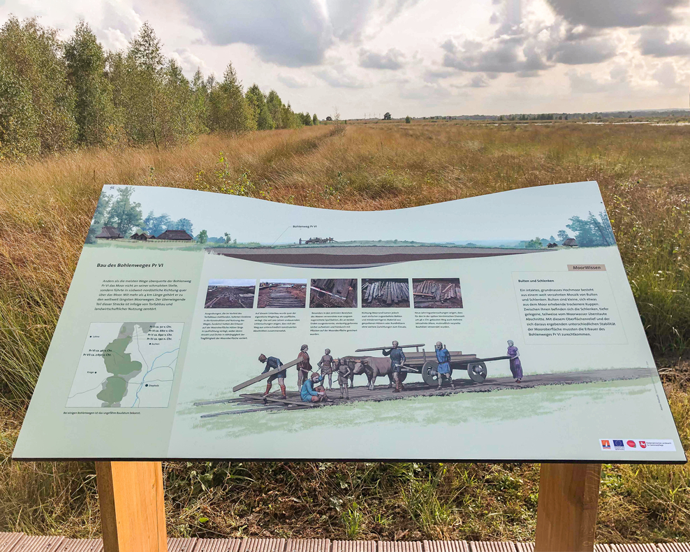 Infotafel im Aschener Moor