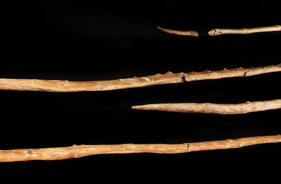 Die ältesten Holzwaffen des Menschen von Schöningen – Dokumentation und Untersuchung
