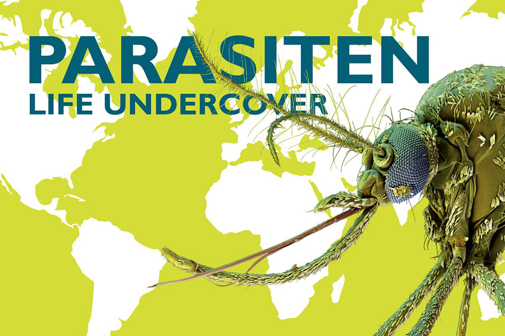 Parasiten. Life undercover
