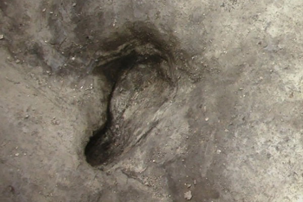 300.000 Jahre alte Momentaufnahme: Älteste menschliche Fußabdrücke aus Deutschland gefunden