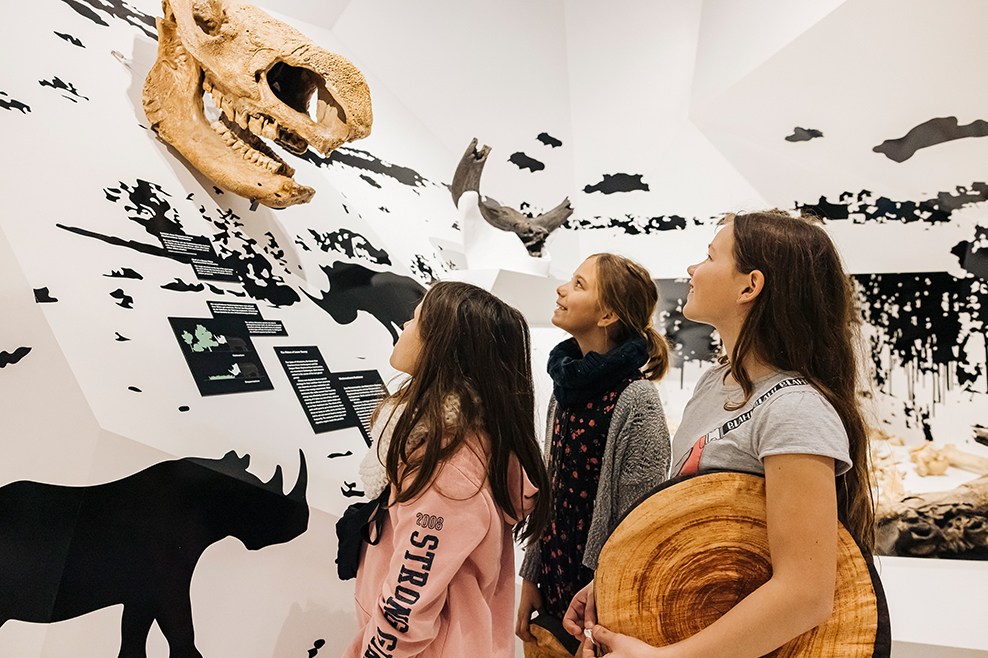 10 Jahre Forschungsmuseum Schöningen