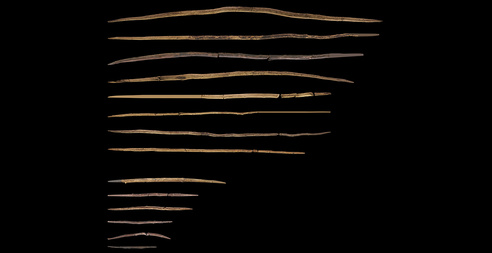 Funde aus Schöningen zeigen: Holz war vor 300.000 Jahren ein entscheidender Rohstoff
