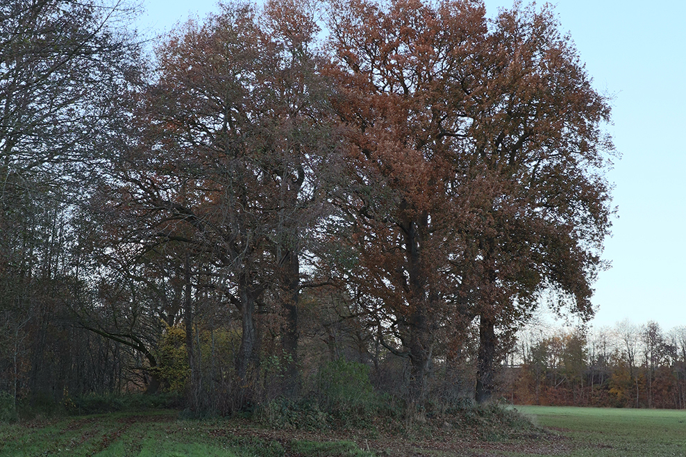 Jüdische Topographie Niedersachsen