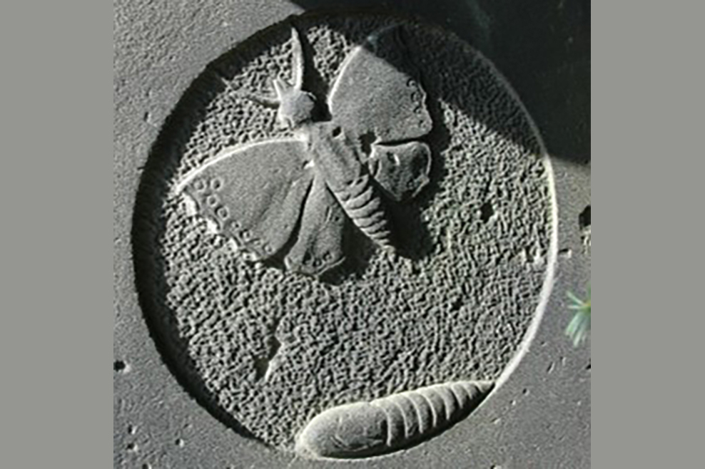 Kulturelles Erbe mitten in der Stadt: historische Grabmale auf dem Nordertor-Friedhof in Nienburg/Weser