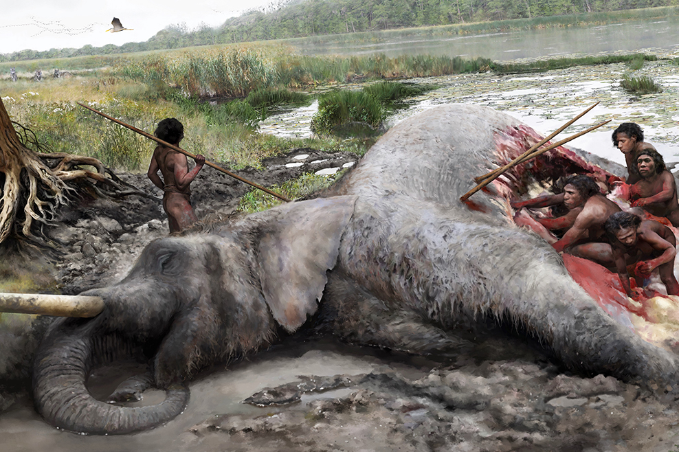 Die Zeichnung gibt eine Vorstellung davon, wie Neandertaler den Elefanten zerlegt haben. Die Jagd eines solchen Elefantenbullen konnte nur als gut organisierte Gruppe gelingen (© Tom Björklund, Niedersächsisches Landesamt für Denkmalpflege).