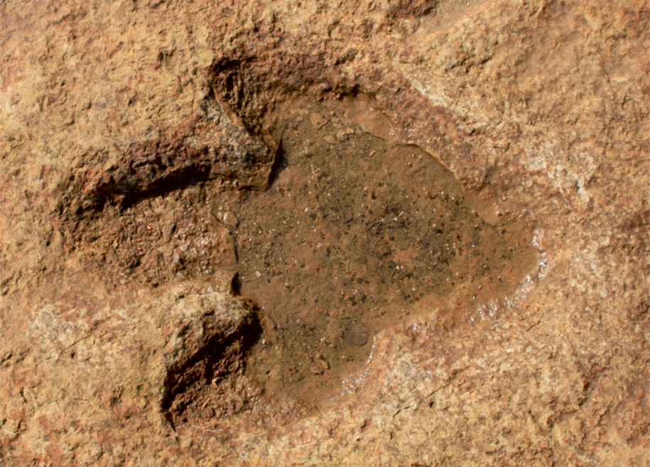 denkmal.themen: Schützenswerter Naturstein in Niedersachsen – Besondere Orte, Objekte und Materialien